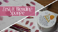 blending sponge review